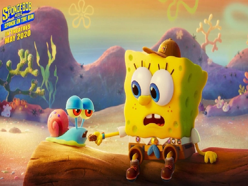 关于试管移植后，试管14天30